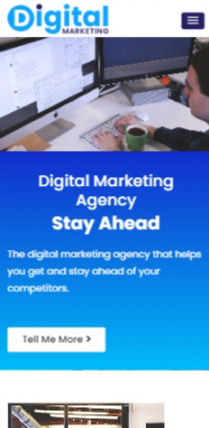 Digital Marketing Theme Mobile View