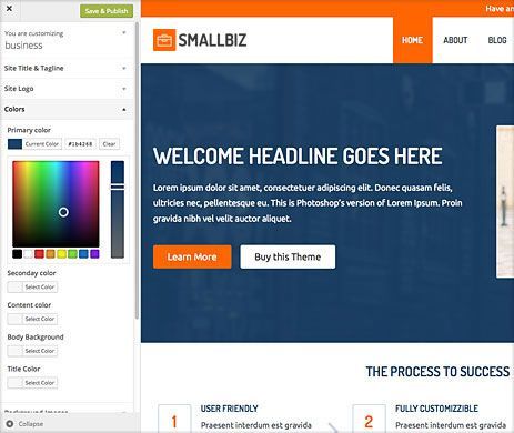 Unlimited color schemes - Small Business WordPress Theme