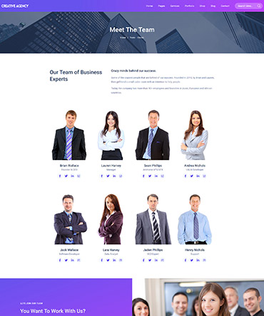 Agency theme- Team page