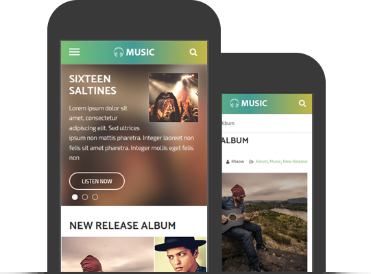 Mobile Friendly Responsive WordPress Music Theme